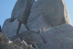 671752a0957b5fae247a7b423ed32580