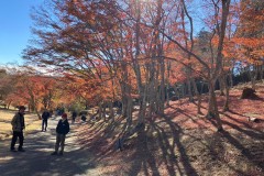 48312E98-F6A6-4A72-BABB-C652F10BE52A