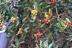 A638D506-23A3-4FF0-8674-935BFEFAC4F7