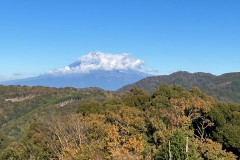 E341017D-48EC-46D6-91B9-CF59E045E71B